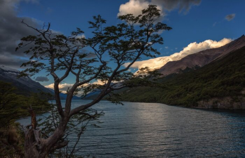 lago del desierto licitacion 