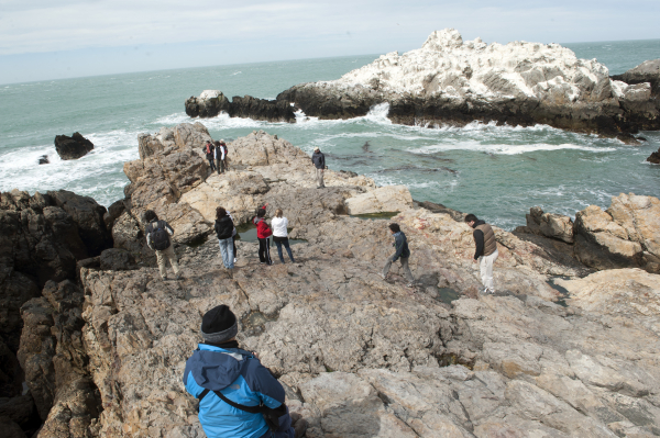 VIsta de la Caleta cerca del Faro de Cabo Blanco