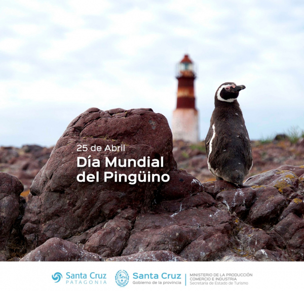 Día Internacional del Pingüino