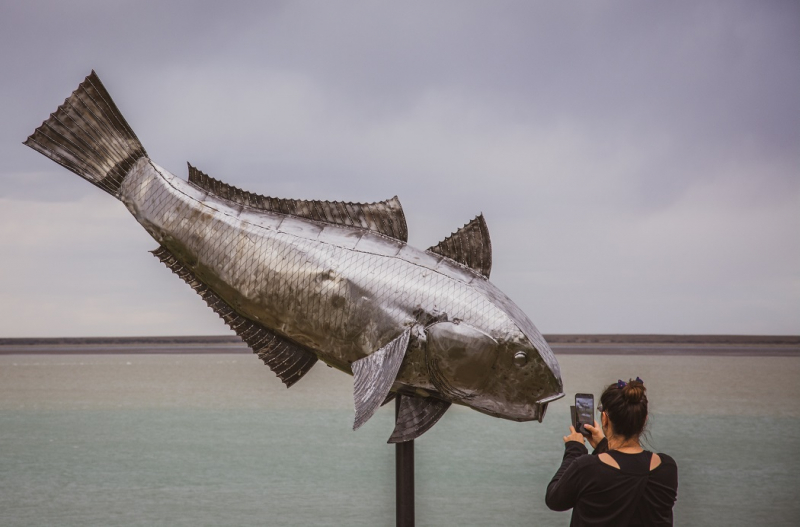 foto vieja robalo