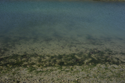 Parque Interjudiccional Marino  Makenke